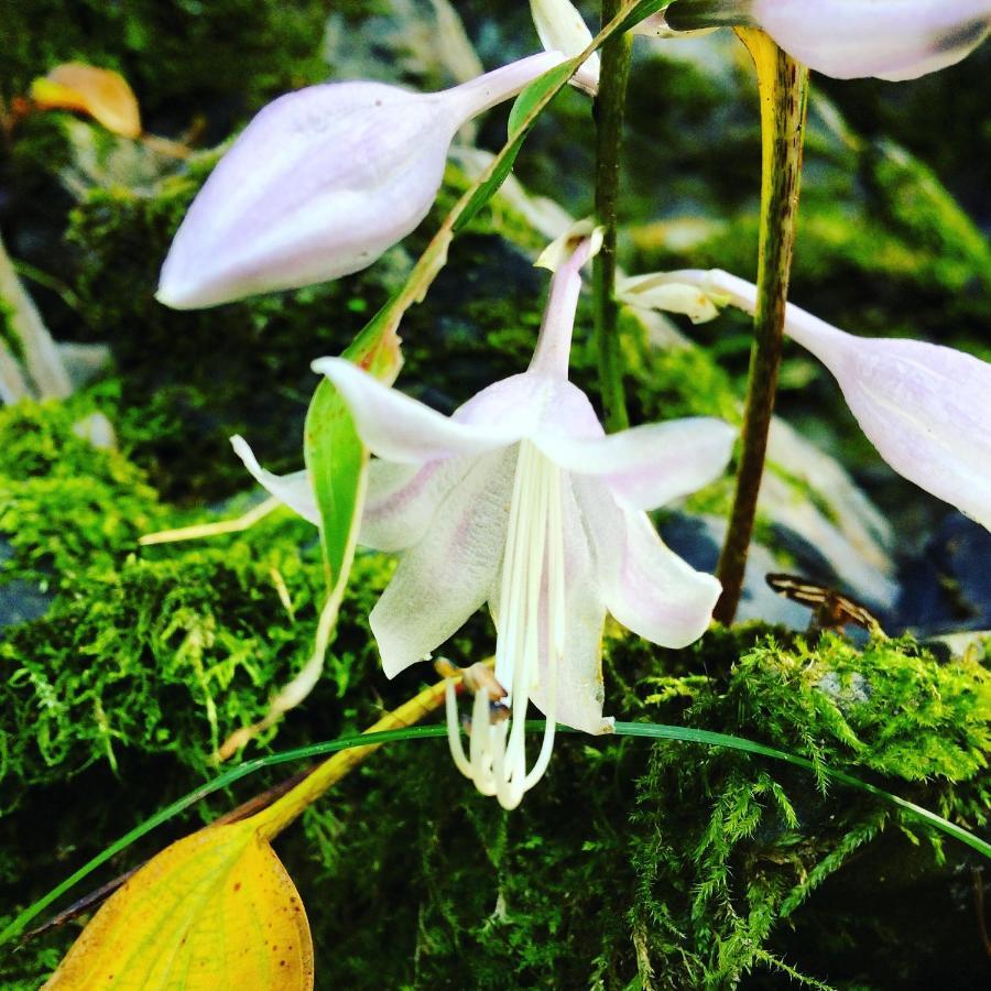 Otsu Nature Garden Akiruno 외부 사진