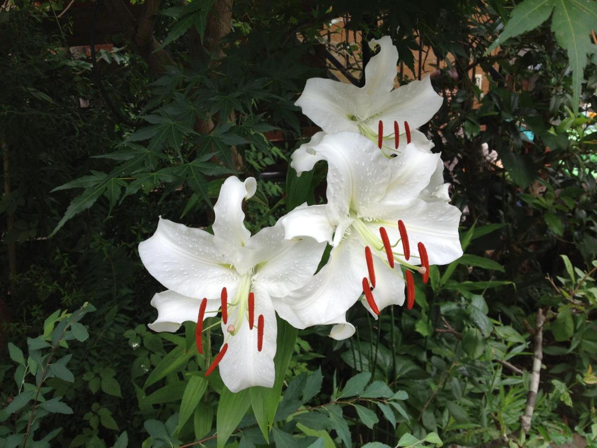 Otsu Nature Garden Akiruno 외부 사진