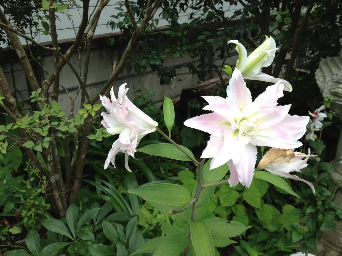 Otsu Nature Garden Akiruno 외부 사진