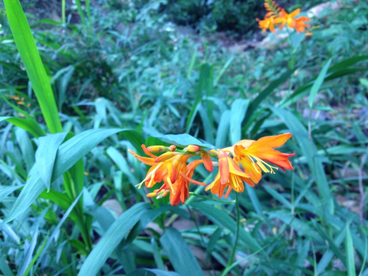 Otsu Nature Garden Akiruno 외부 사진
