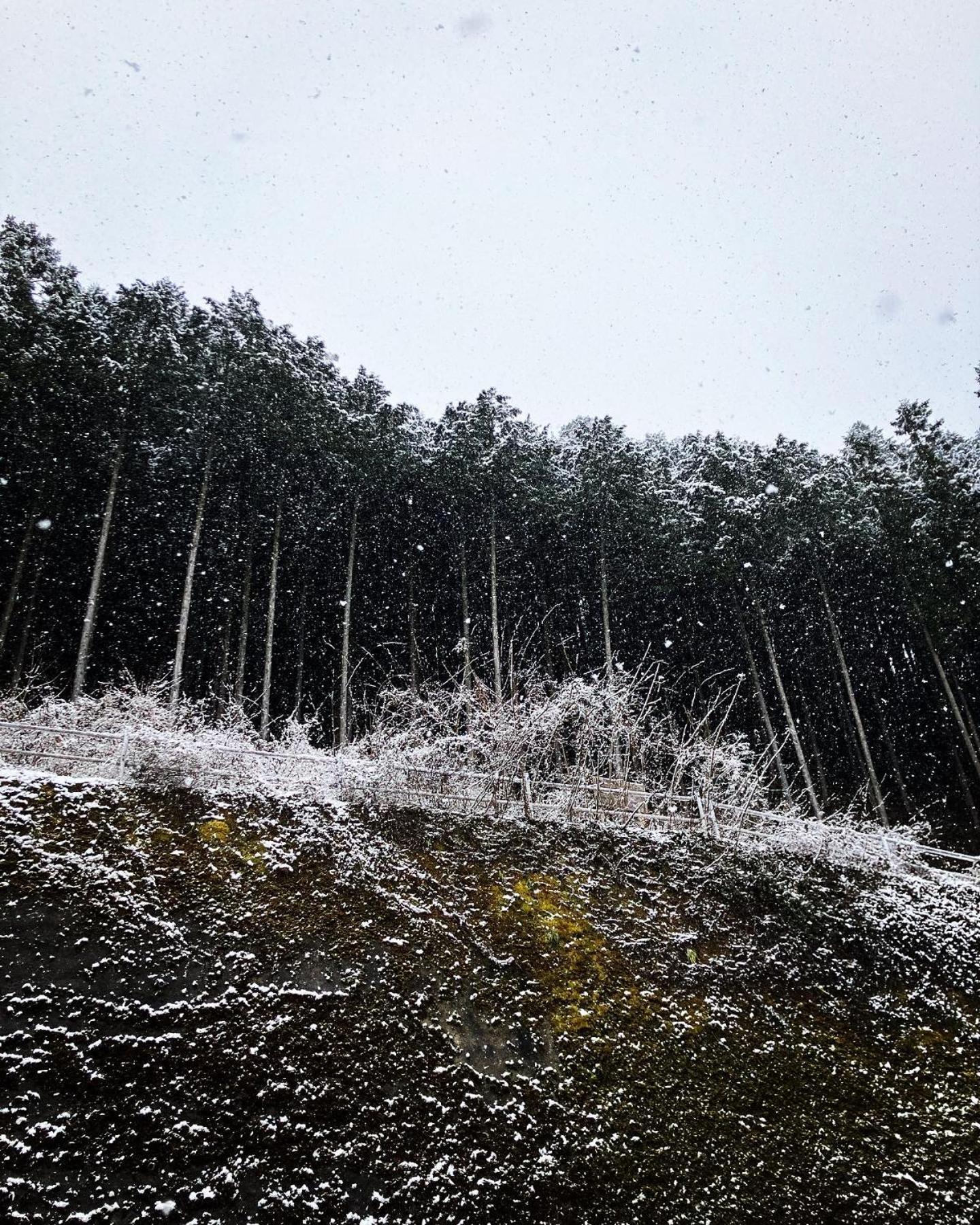 Otsu Nature Garden Akiruno 외부 사진