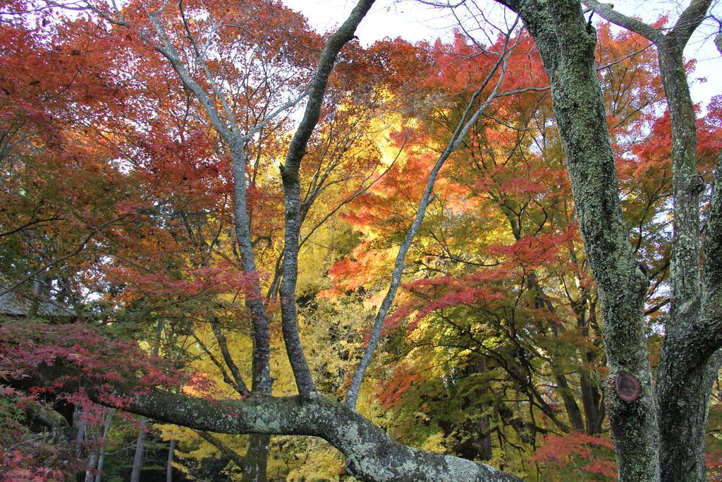 Otsu Nature Garden Akiruno 외부 사진