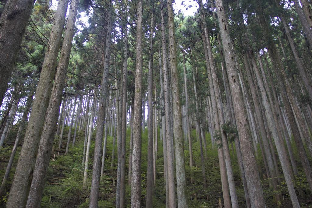 Otsu Nature Garden Akiruno 외부 사진