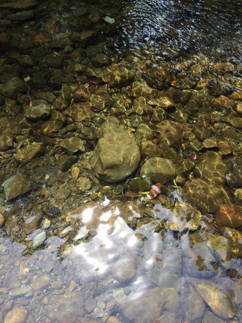 Otsu Nature Garden Akiruno 외부 사진